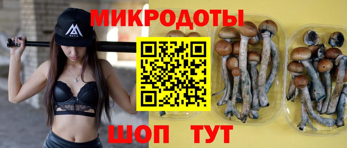 Галлюциногенные грибы мухоморы Зима