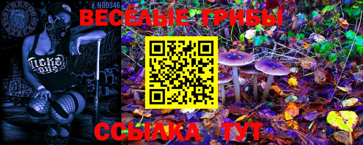 Зима  Псилоцибиновые грибы мицелий  Вход с VPN 